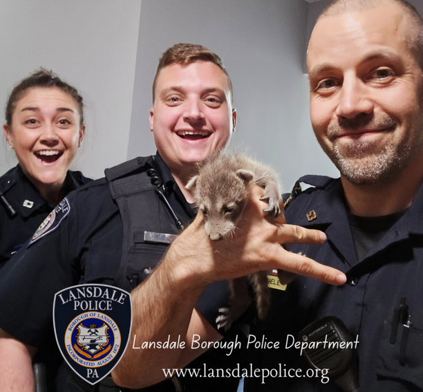 On paw-trol: Lansdale officers rescue raccoon kits from chimney jam